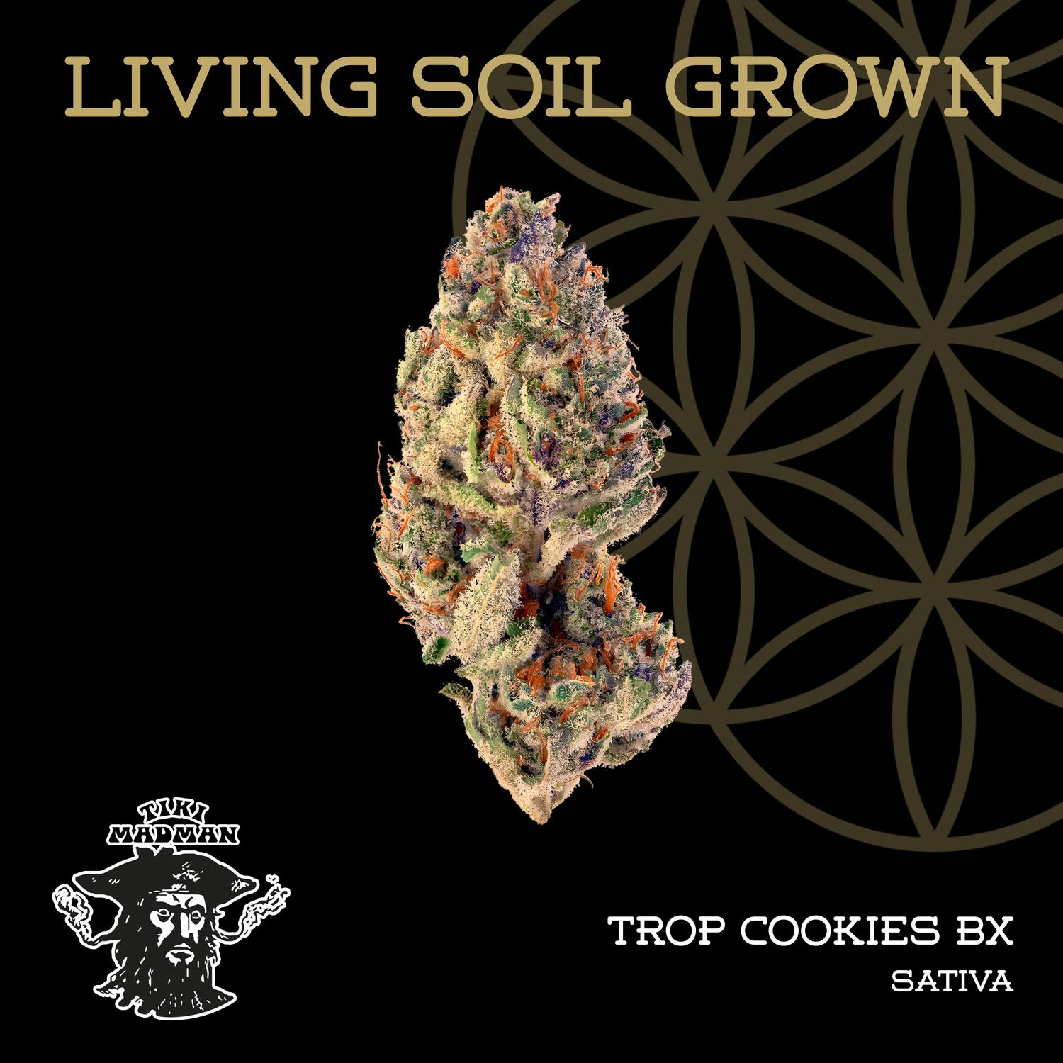 Product: Flower of Life | Bulk Bud - Tropicana Cookie