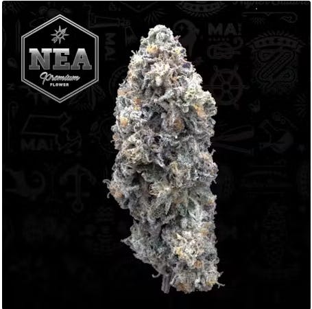 Product NEA Premium | Street Tartz | Flower