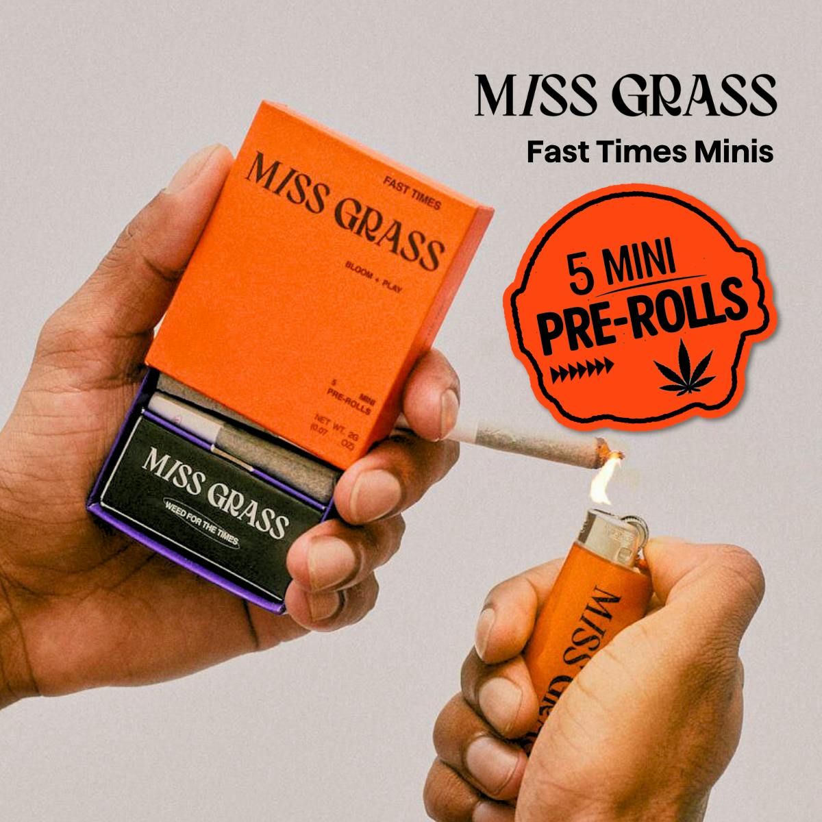 Product Minis 5pk - Fast Times - 2g
