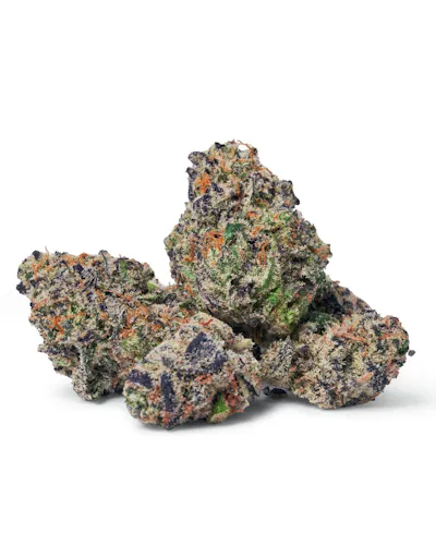 Dada | Valley Biscotti | Flower | Hybrid-1