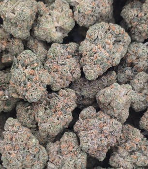 Red Velvet Runtz | Eden East