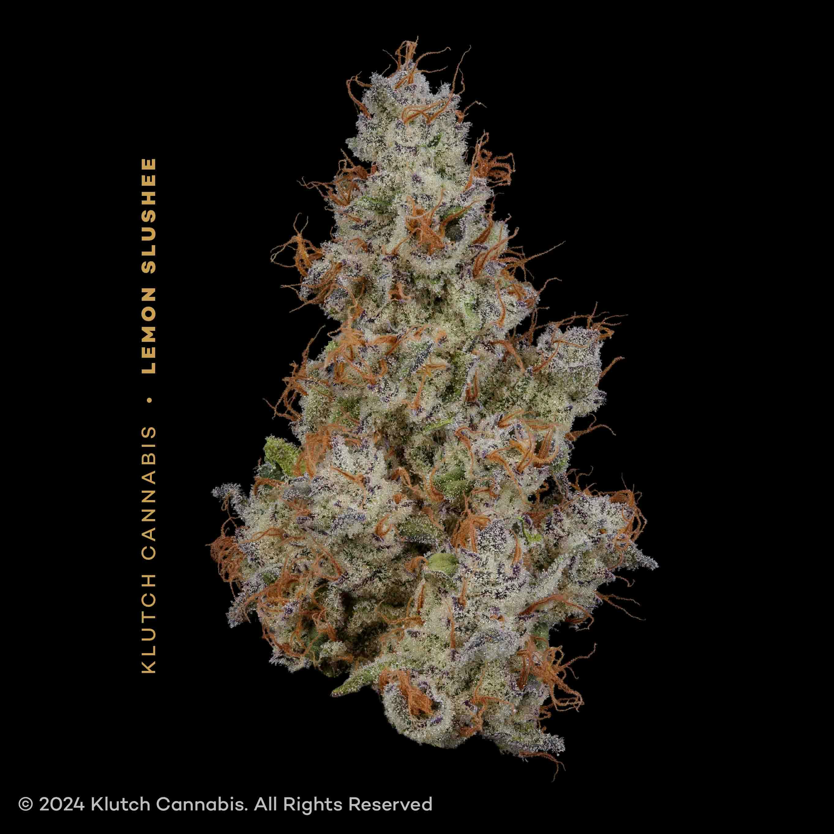 ✨Lemon milk✨ ZX LEMON CRACKERS – Sun Fat Trading Company