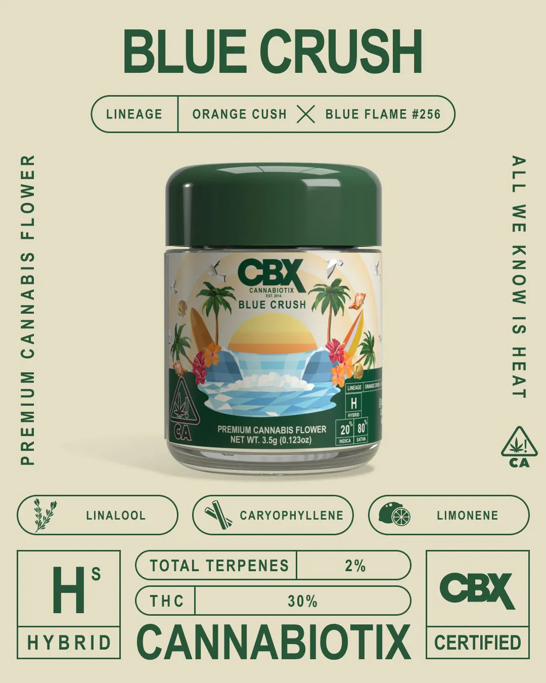 CBX | Flower 3.5g | I | Dropane | BUZZ - Sorrento Valley