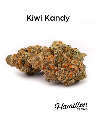 Hamilton Farms | Flower | Kiwi Kandy | 3.5g-1