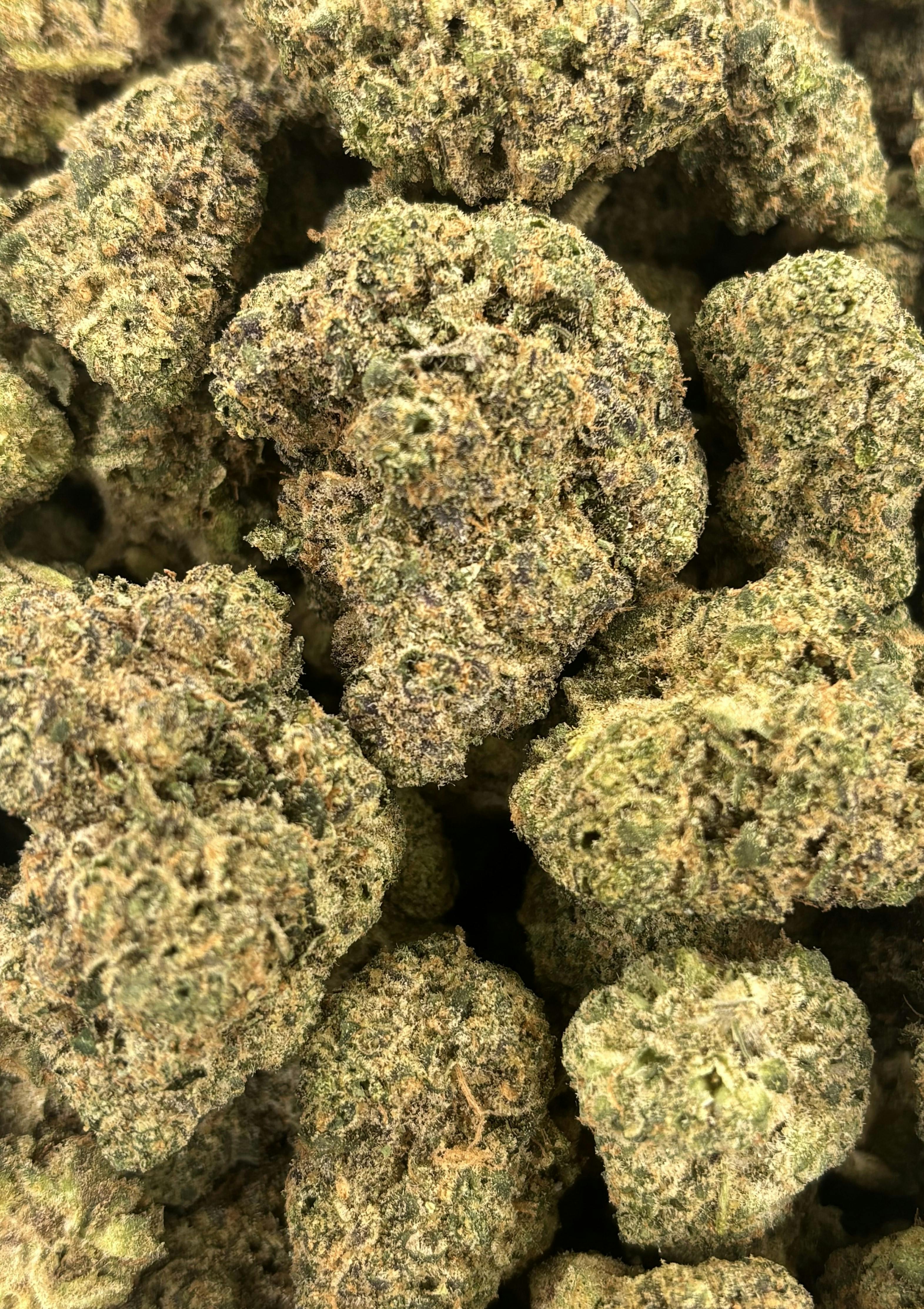 Seed Junky | Snowcone Runtz | Deli Flower