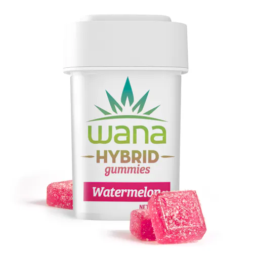 Classic Watermelon Hybrid Gummies [10 pack] | 200mg-1