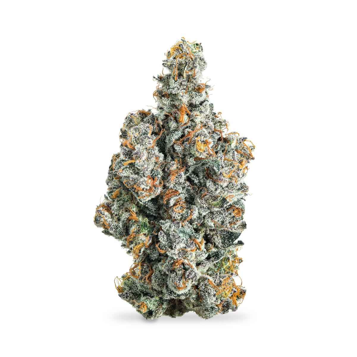 Photo of Gas Face #4