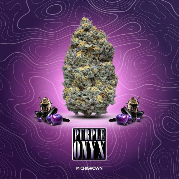 DELI - Michigrown - Purple Onyx