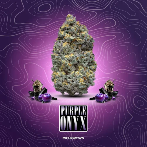 DELI - Michigrown - Purple Onyx