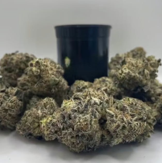 GNG | GMO x Jungle Cake | Flower