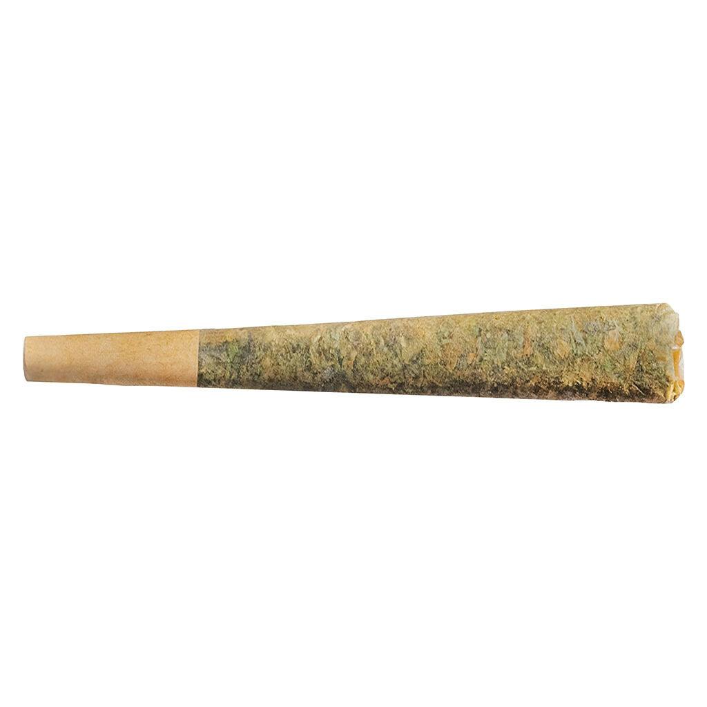 Fuego - night rider prjs - 4x1g