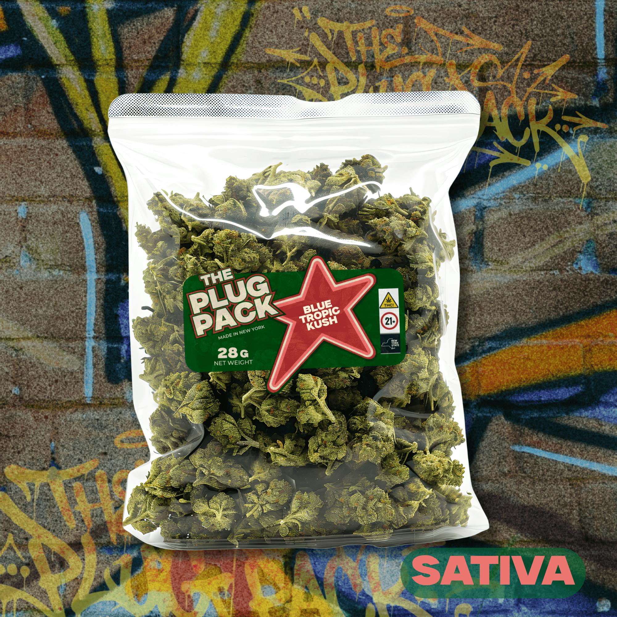 Blue Tropic Kush | Whole Flower