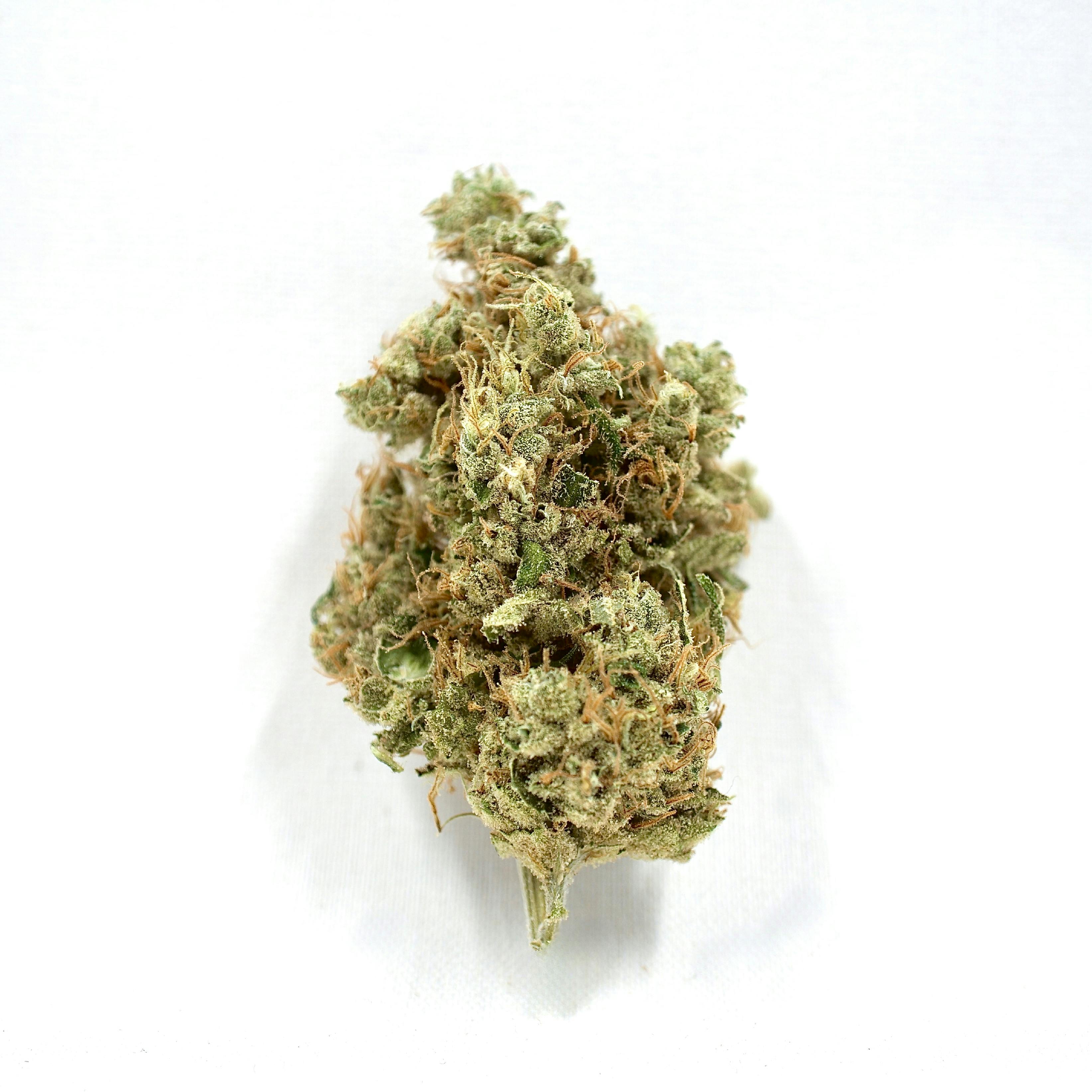 G13 Haze x Somango | TAC: 23.3% (14g Package) | Alternative