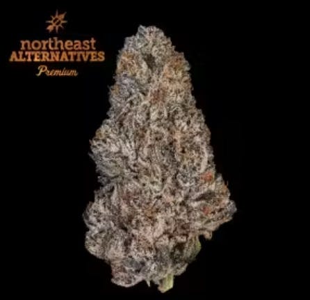 Product NEA Premium | Sunburst #5 | Flower