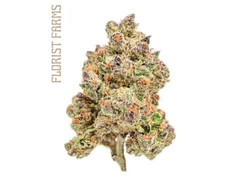 Florist Farms | Tropical Cookies | Flower 7g-1