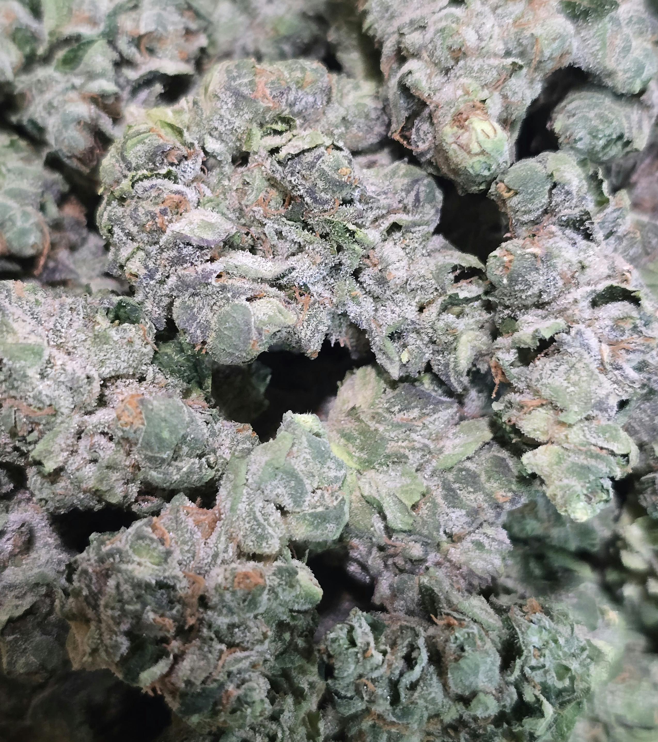 Garlic Butter | Eden East