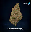 Communion