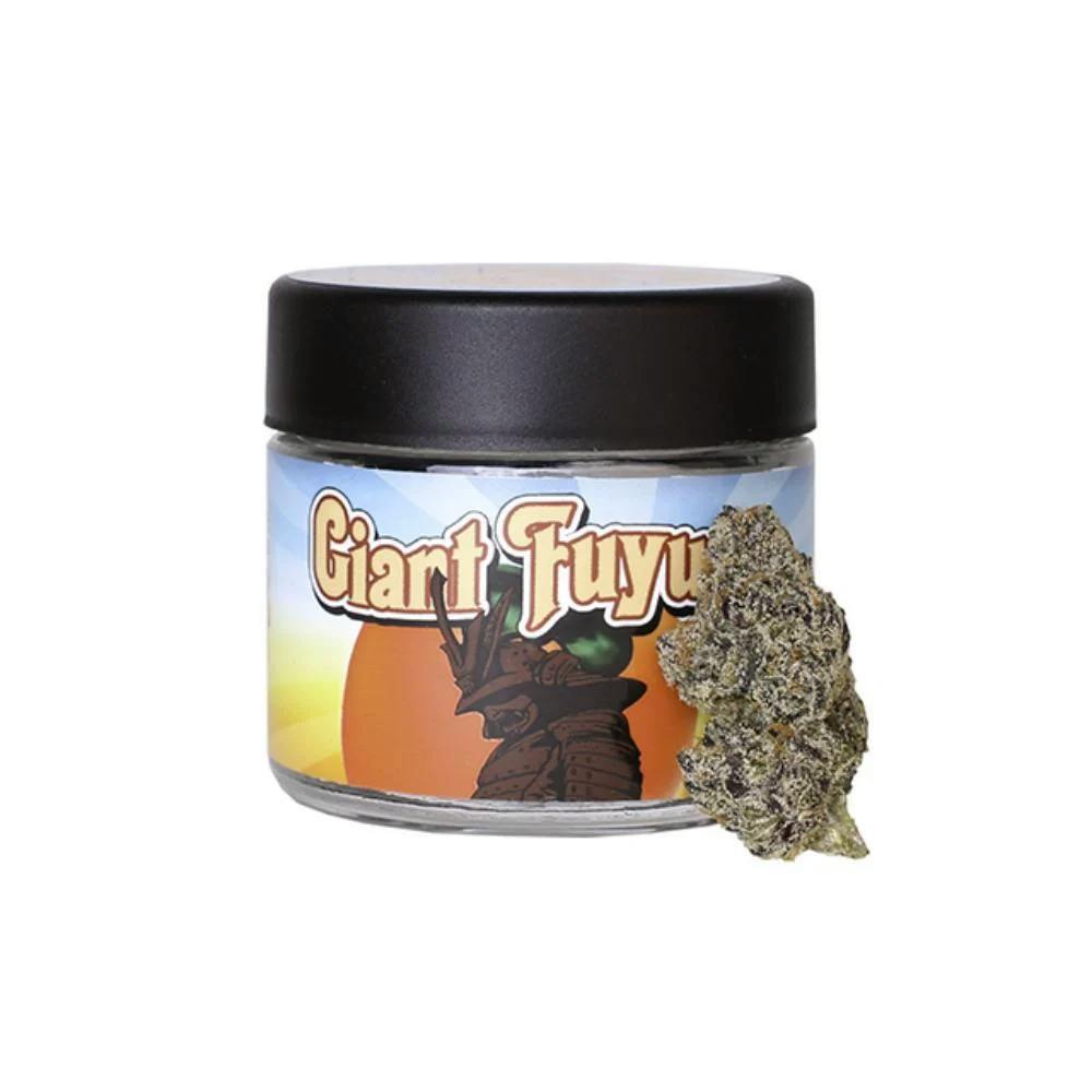 Turtle Pie Giant Fuyu Indoor Cookies Hayward