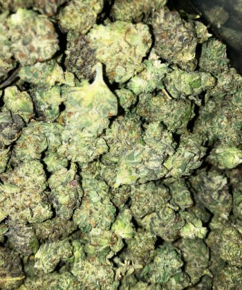 Product: Blue Nerdz | Pleasantrees