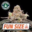 Lets CT Kush Cake