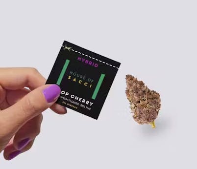 Trop Cherry Flower | Hybrid | House of Sacci