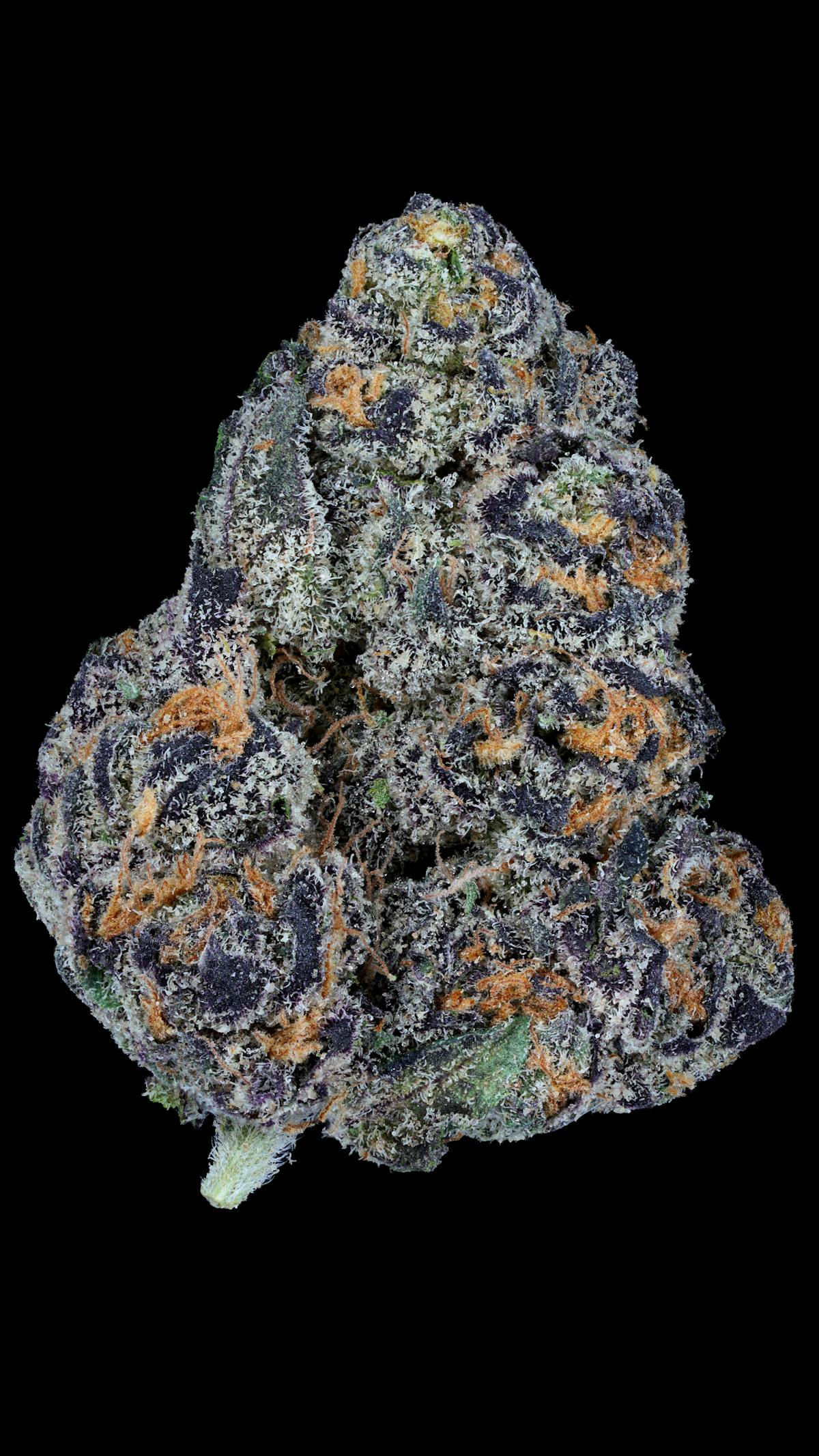Photo of Frosted Flakes
