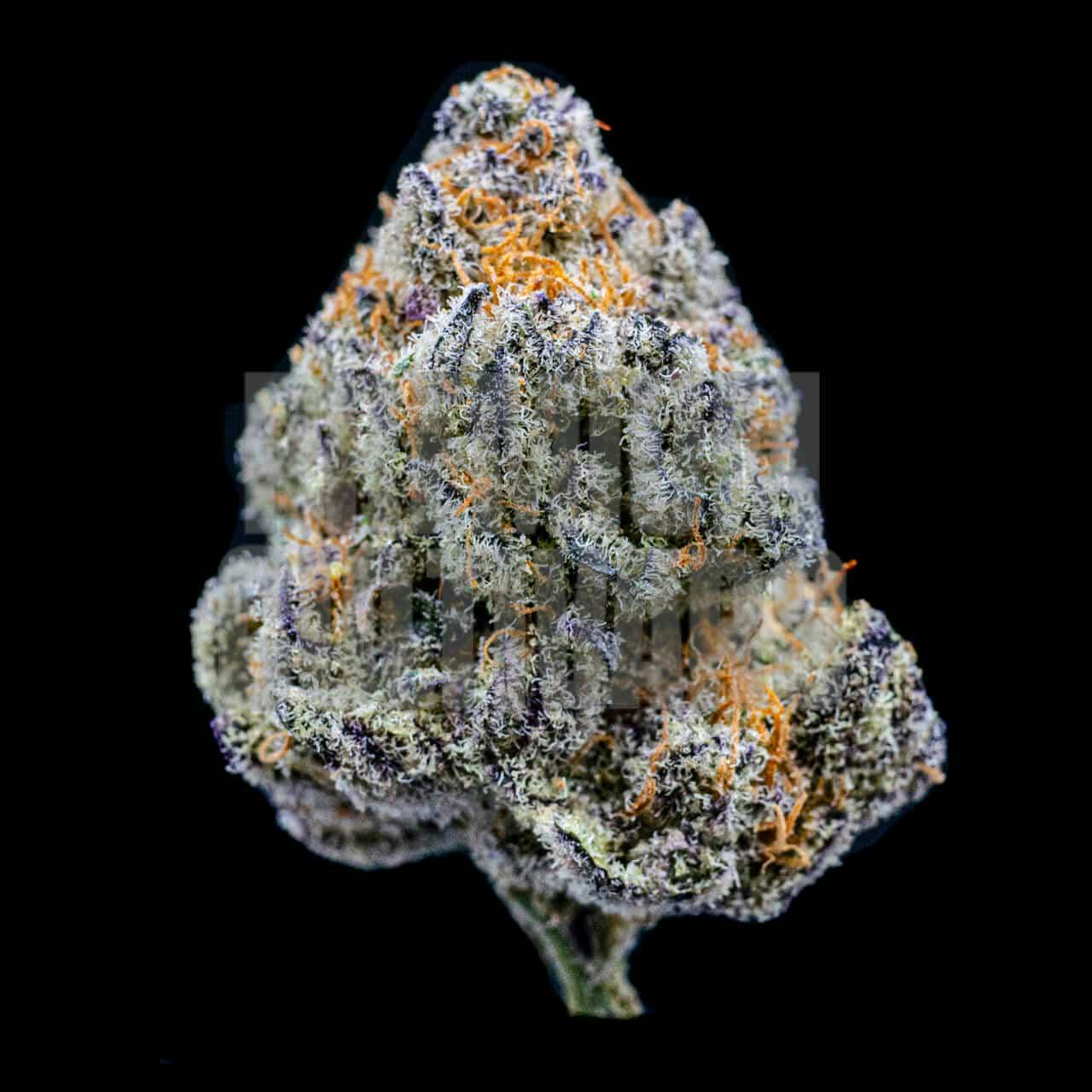 Gelonade | Pre-Pack Sativa / Hybrid by Gatsby Cannabis Co. – Flower at Gatsby Cannabis