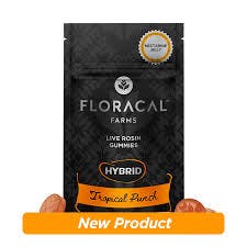 Product CL Floracal Live Rosin Gummies - Tropical Punch 100mg 10pk
