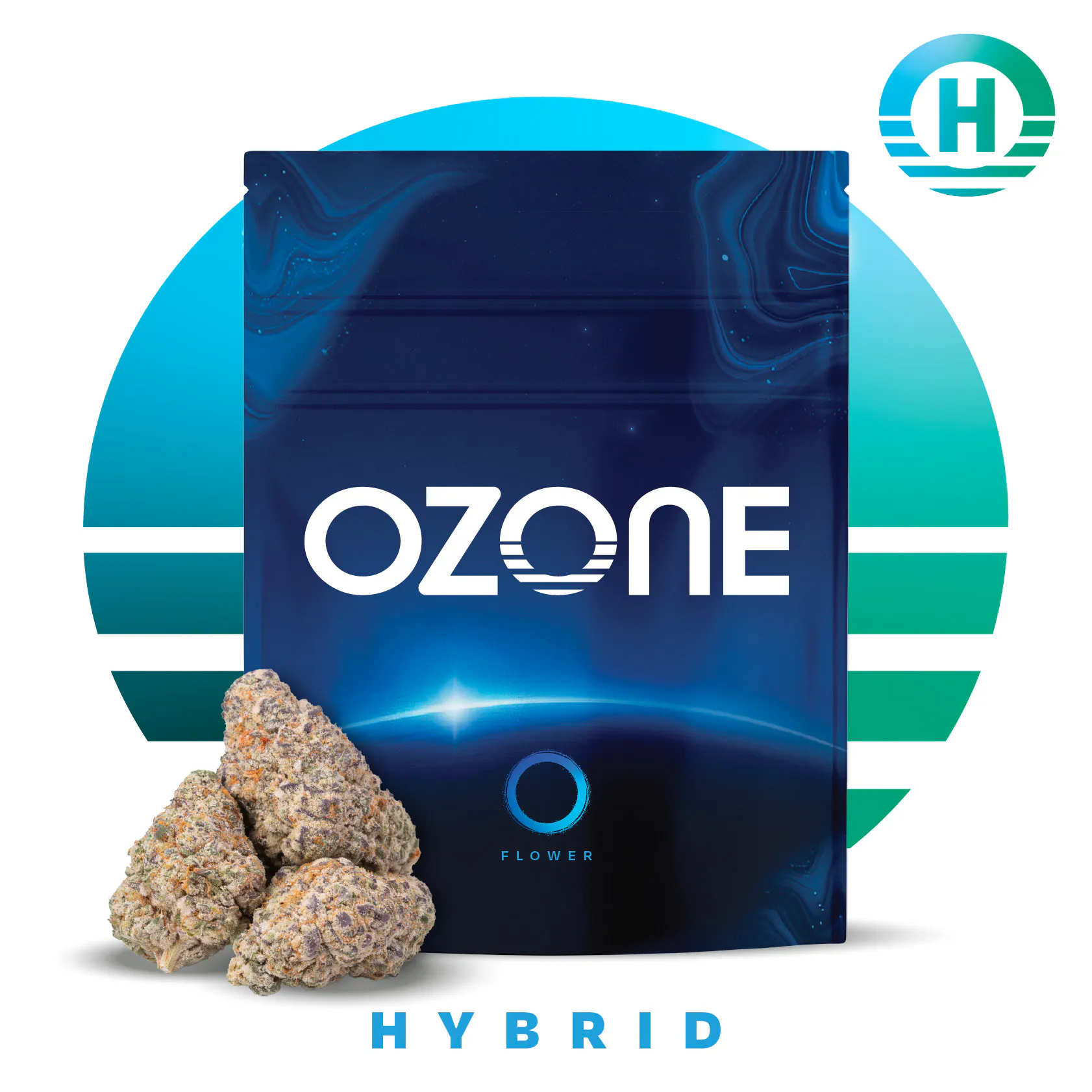 OZ. – Ozone Dutchess IL - Lynwood