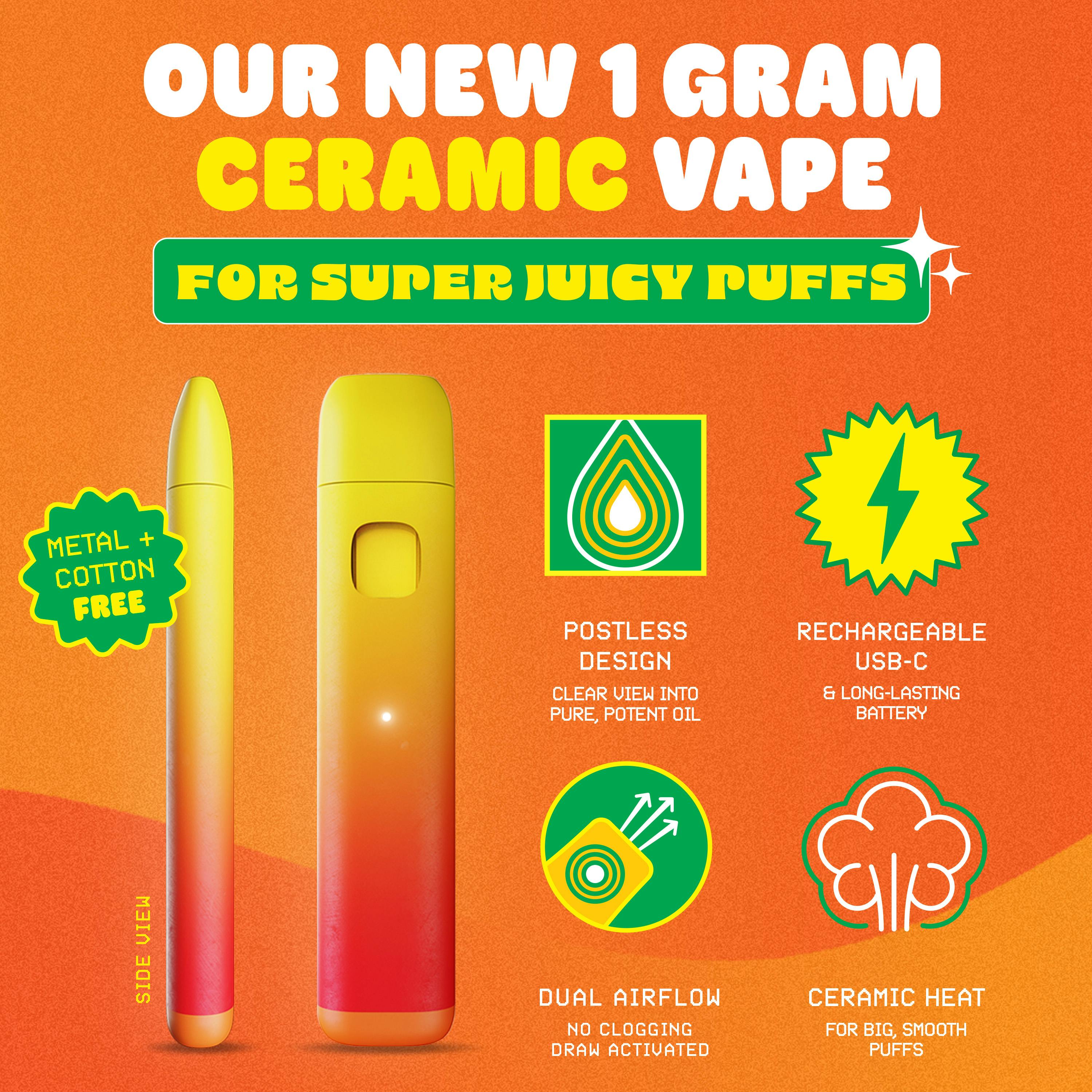 Magic Mango Disposable 1g-2