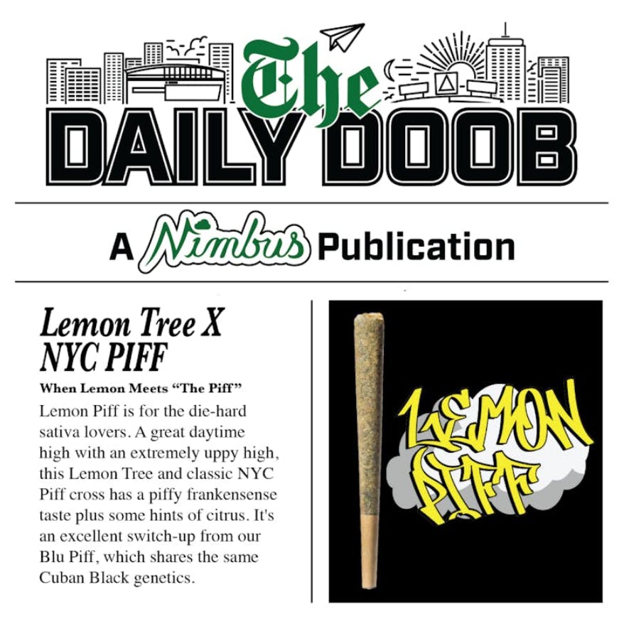 Buy Nimbus Lemon Piff | Pre-Roll | 0.5g for Sale - Quincy Cannabis Co