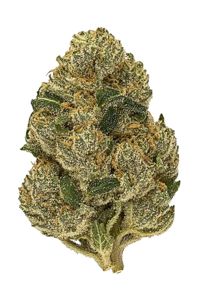 PANDA CANNABIS | STRAWBERRY TRUFFLEZ | BULK | HYBRID