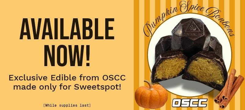 Exclusive Sweetspot X OSCC Pumpkin Spice Bonbons 