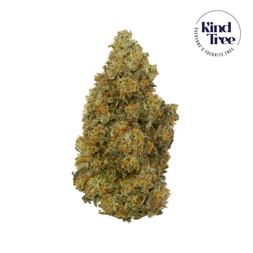 Loud Cake 3.5g – Kind Tree (Pre-Pack)-active
