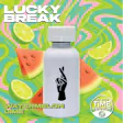Solid Beverage Watermelon Lime