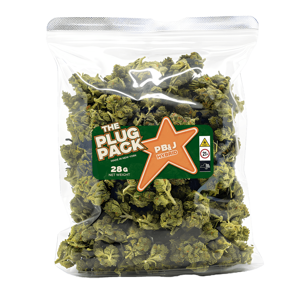 Product PB & J (H) The Plug Pack
