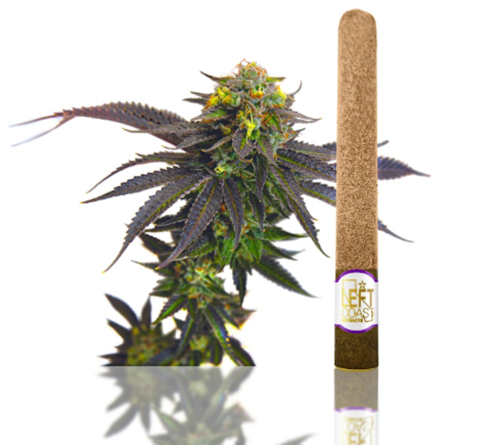 Product Infused Blunt | Grape Cookie (H) Left Coast