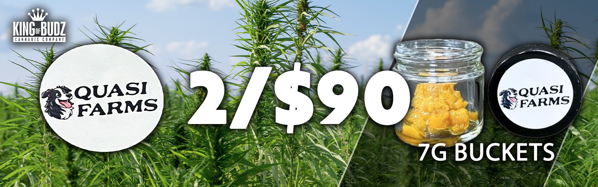 Quasi Farms 7g Concentrate Buckets 2/$90