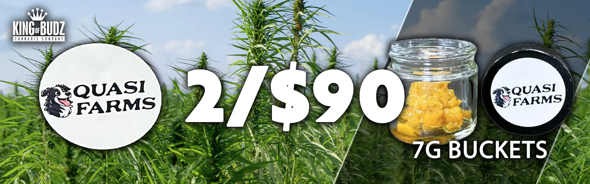 Quasi Farms 7g Concentrate Buckets 2/$90