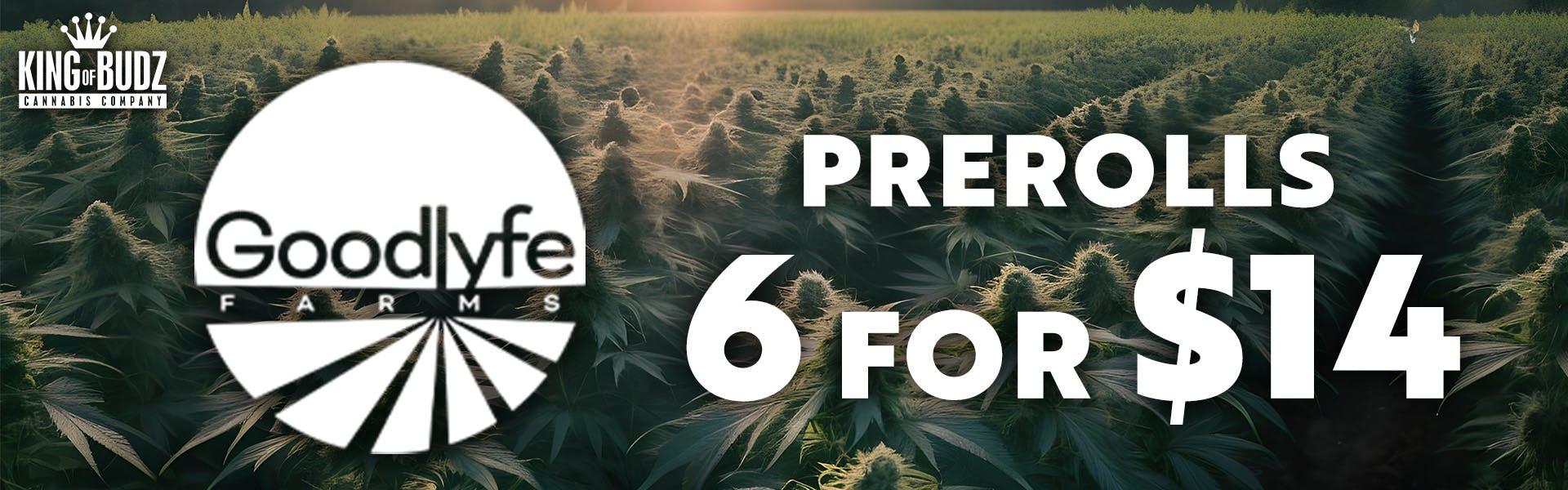 6/$14 Goodlyfe Pre-Rolls