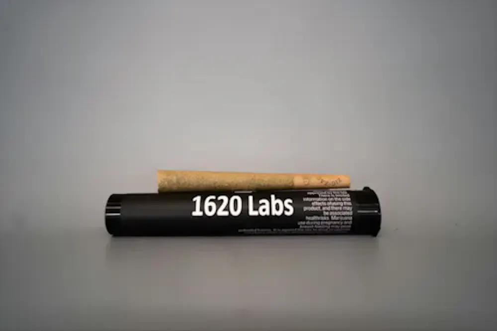 Product Blueberry Milk 1:1