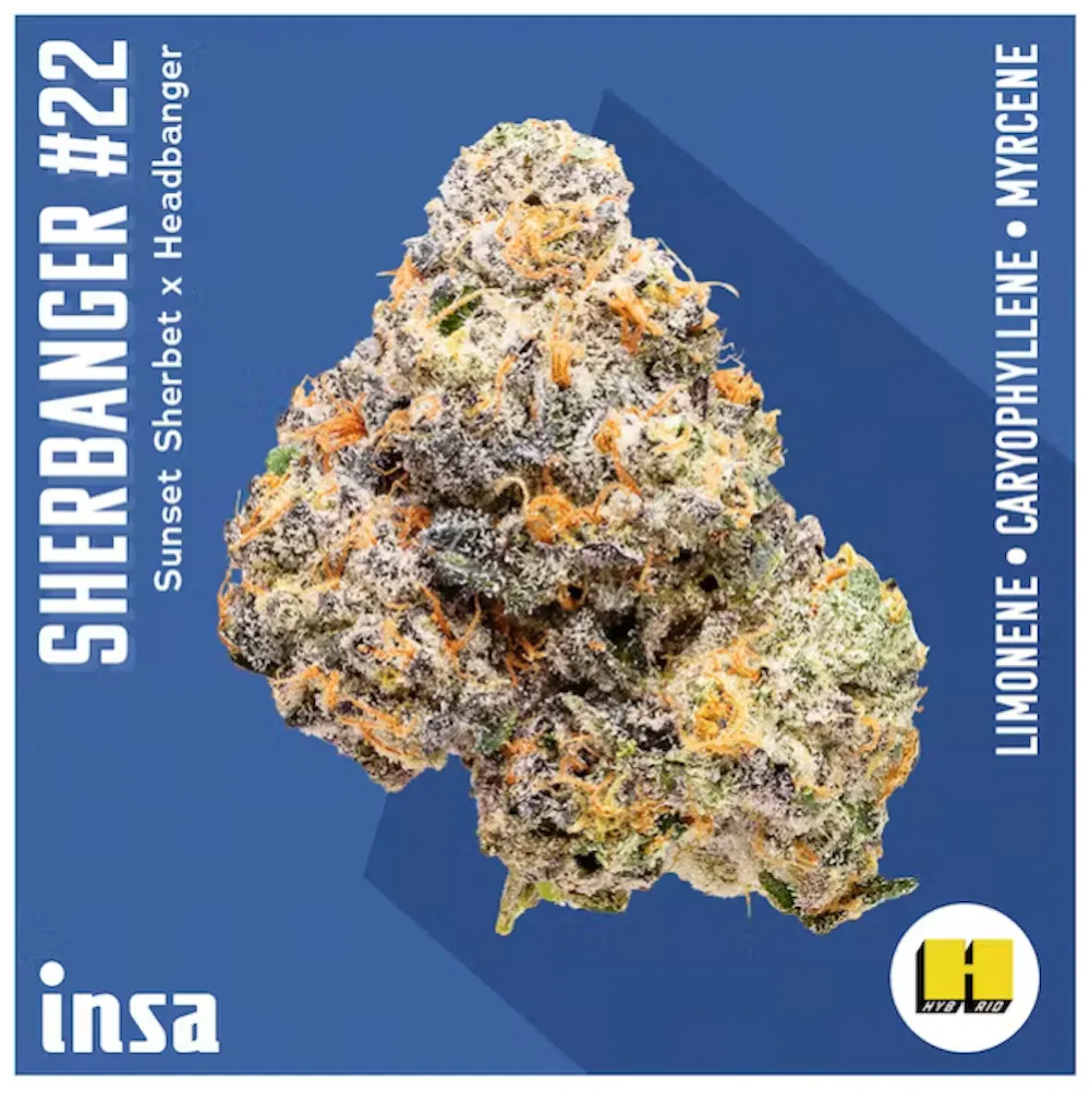 Product Sherbanger #22