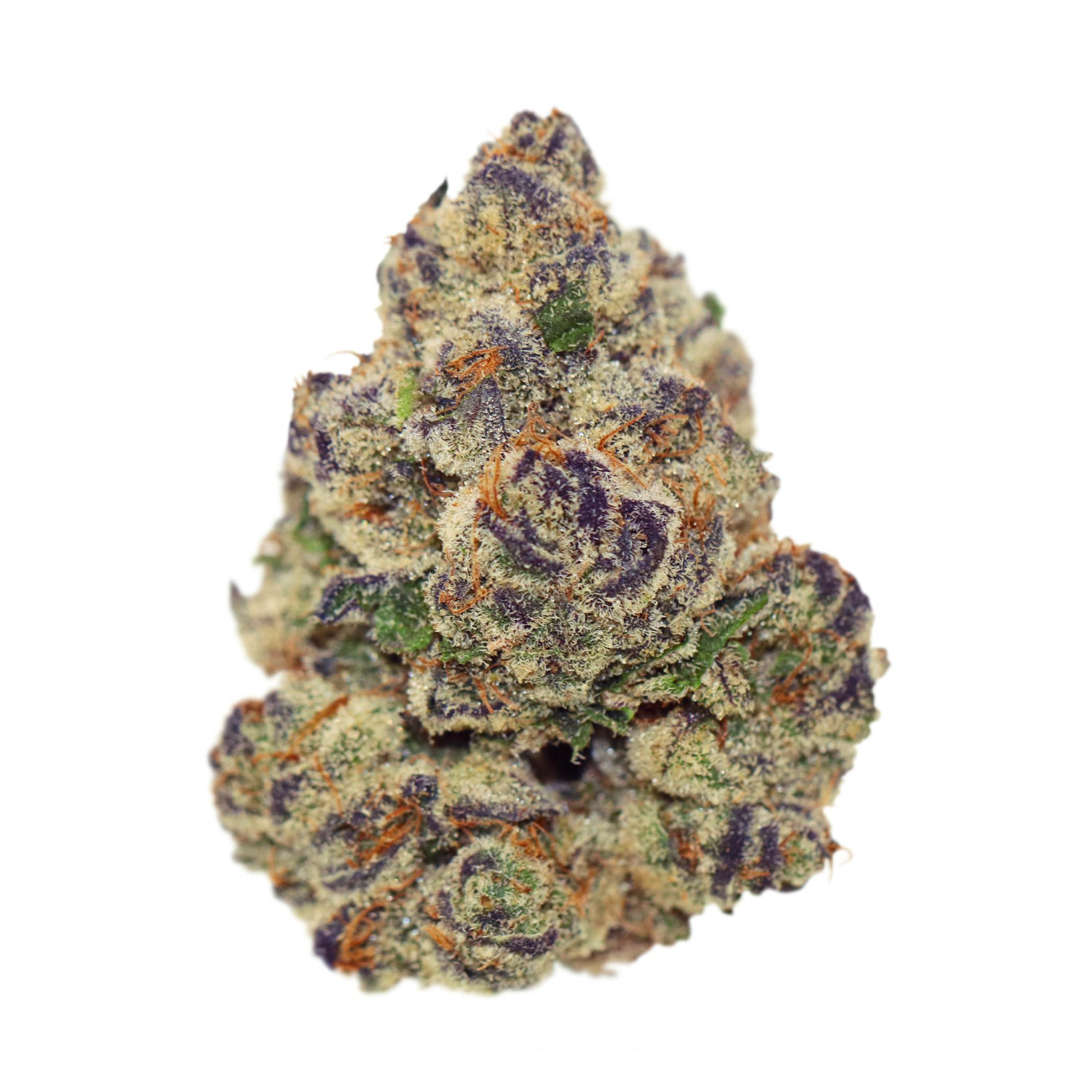 CAM - Guava Gelato OG at Silk Road NYC, Jamaica Queens