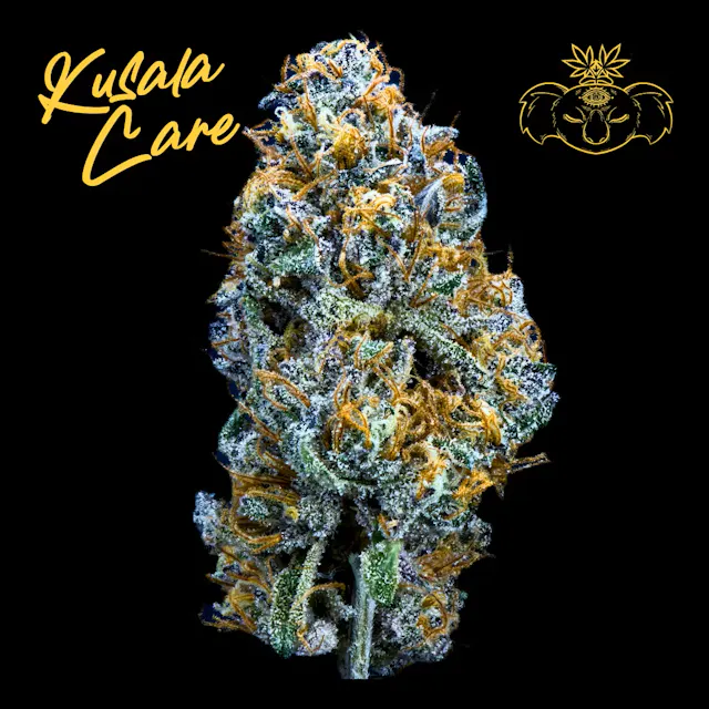 Kusala Care Flower OMG Burger 28g (indica hybrid)