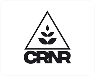 logo for The Corner