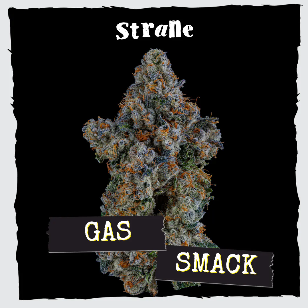 Gas Smack | Liberty (Oxon Hill)