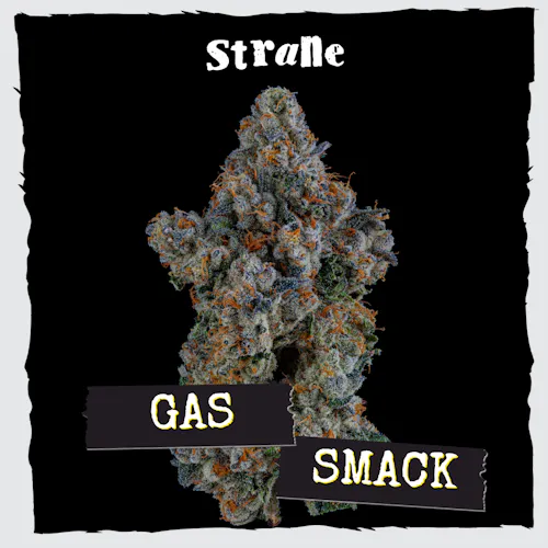 Gas Smack 3.5g – Strane (Pre-Pack)-active