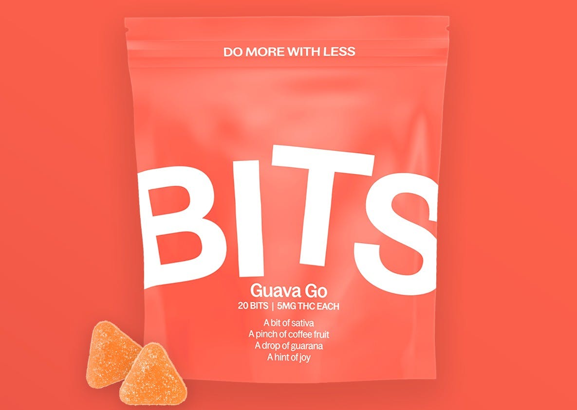 Photo of Guava Go Bits 20-pack