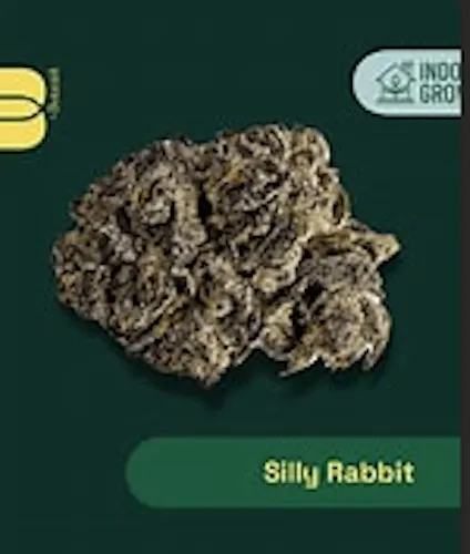 Silly Rabbit 3.5g-1