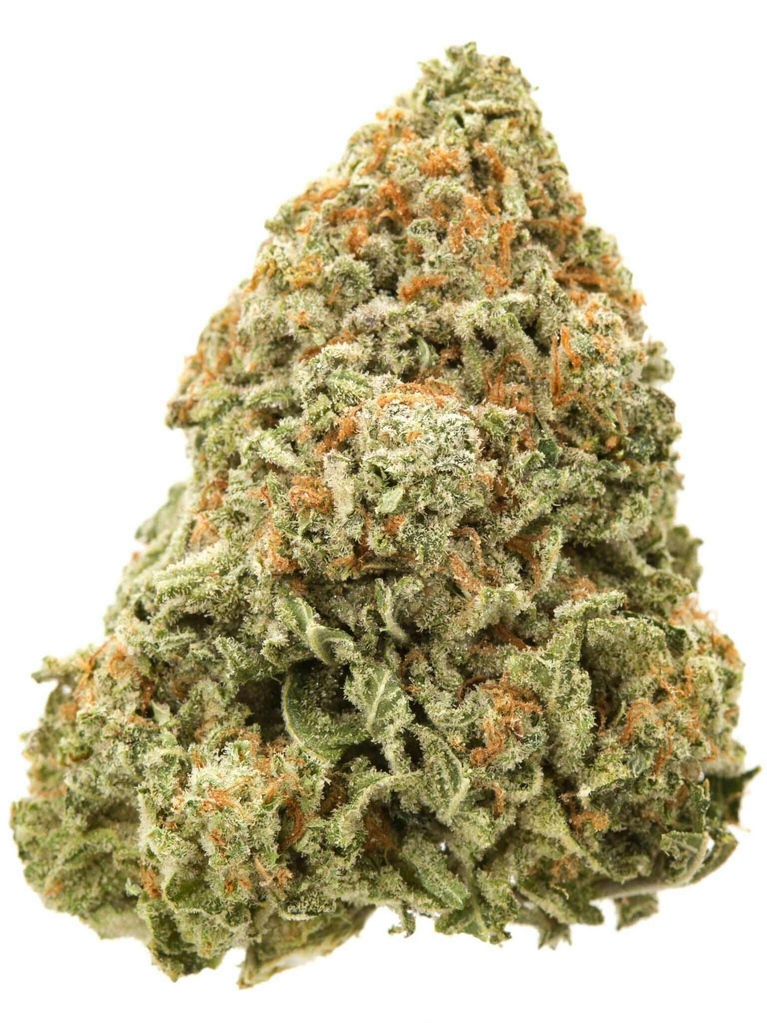Product: COMMON CITIZEN | LEMON BAR | BULK | SATIVA